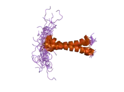 2j5d: NMR STRUCTURE OF BNIP3 TRANSMEMBRANE DOMAIN IN LIPID BICELLES