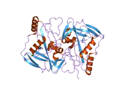 2j8q: CRYSTAL STRUCTURE OF HUMAN CLEAVAGE AND POLYADENYLATION SPECIFICITY FACTOR 5 (CPSF5) IN COMPLEX WITH A SULPHATE ION.