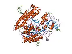 2jbj: MEMBRANE-BOUND GLUTAMATE CARBOXYPEPTIDASE II (GCPII) IN COMPLEX WITH 2-PMPA (2-PHOSPHONOMETHYL-PENTANEDIOIC ACID)