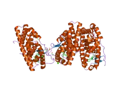 2jf9: ESTROGEN RECEPTOR ALPHA LBD IN COMPLEX WITH A TAMOXIFEN-SPECIFIC PEPTIDE ANTAGONIST