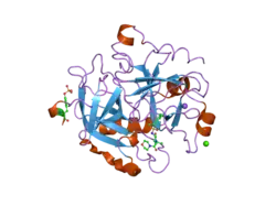 2jh0: HUMAN THROMBIN HIRUGEN INHIBITOR COMPLEX.