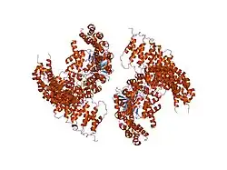 2npp: Structure of the Protein Phosphatase 2A Holoenzyme