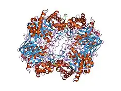 2nt0: Acid-beta-glucosidase low pH, glycerol bound
