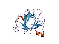 2nvh: Determination of Solvent Content in Cavities in Interleukin-1 Using Experimentally-Phased Electron Density