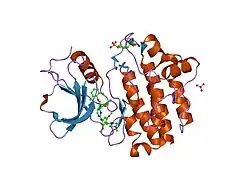 2ofu: x-ray crystal structure of 2-aminopyrimidine carbamate 43 bound to Lck