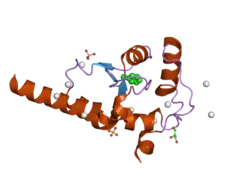 2olm: ArfGap domain of HIV-1 Rev binding protein