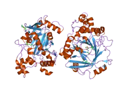 2oq6: Crystal structure of JMJD2A complexed with histone H3 peptide trimethylated at Lys9