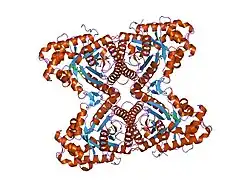 2ot1: Fructose-1,6-bisphosphate aldolase from rabbit muscle in complex with naphthol AS-E phosphate, a competitive inhibitor