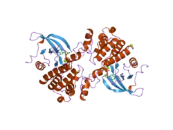 2p0c: Catalytic Domain of the Proto-oncogene Tyrosine-protein Kinase MER