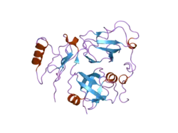 2pjh: Structural Model of the p97 N domain- npl4 UBD complex