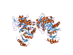 2qk4: Human glycinamide ribonucleotide synthetase