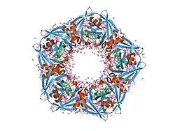 2rmb: Crystal structures of cyclophilin A complexed with cyclosporin A and N-methyl-4-[(E)-2-butenyl]-4,4-dimethylthreonine cyclosporin A