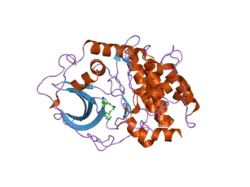 2uzt: PKA STRUCTURES OF AKT, INDAZOLE-PYRIDINE INHIBITORS
