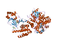 3cf6: Structure of Epac2 in complex with cyclic-AMP and Rap