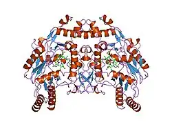 3nse: BOVINE ENOS, H4B-FREE, SEITU COMPLEX