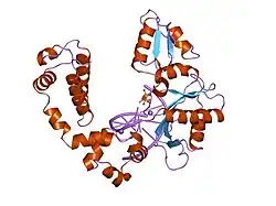 9icq: DNA POLYMERASE BETA (POL B) (E.C.2.7.7.7) COMPLEXED WITH SIX BASE PAIRS OF DNA; SOAKED IN THE PRESENCE OF DATP (1 MILLIMOLAR) AND MNCL2 (5 MILLIMOLAR)
