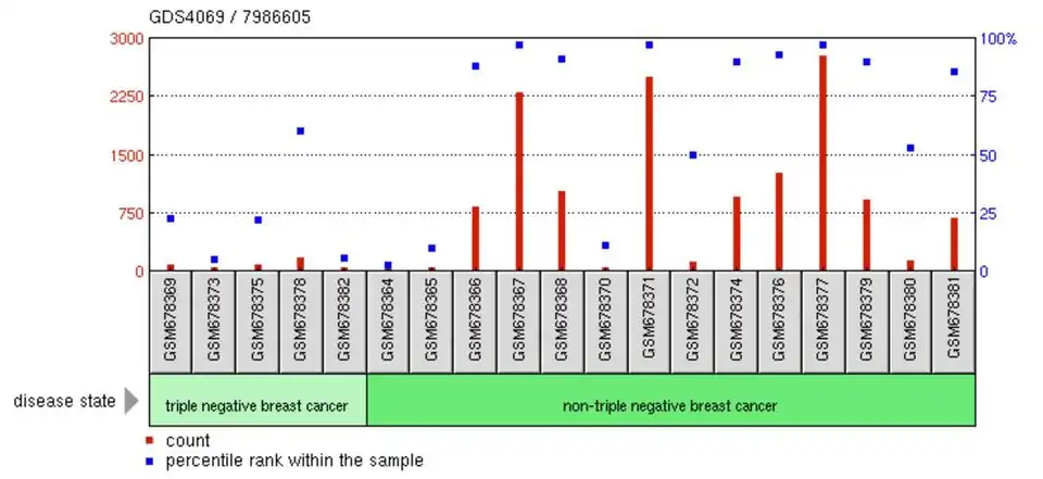 POTEB Expression in breast cancer