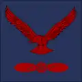 (Pakistan Air Force)