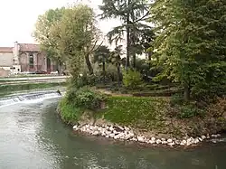 Palazzo Stecchini, island garden