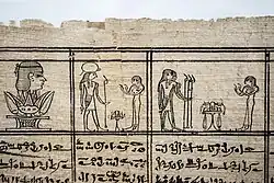 A papyrus on display