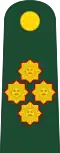 Army General