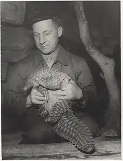 a man hold a Giant pangolin