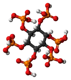 Ball-and-stick model of phytic acid