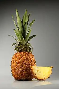 A pineapple is a multiple fruit