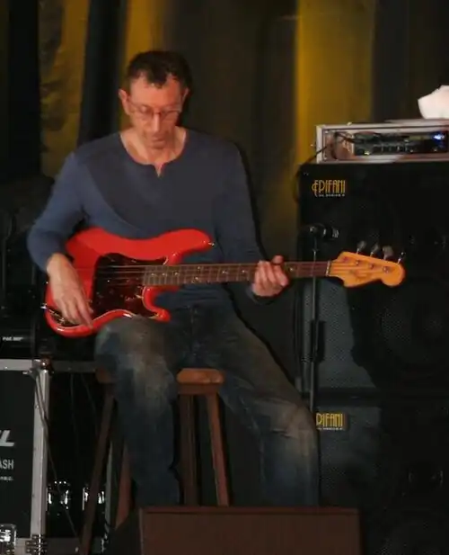 Pino Palladino (cropped).jpg