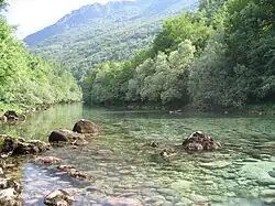 Piva River