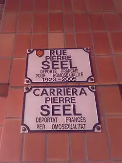 Another aspect of the Pierre Seel Street plates, in Toulouse