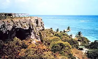 Cliffs above Pajaros Beach