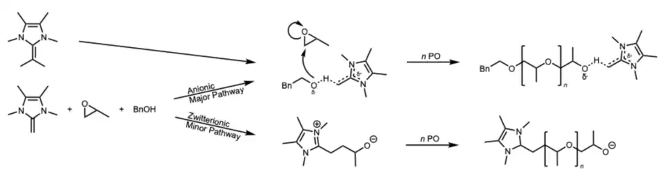 NHOs can polymerize PO to form polyethers. For an unsubstituted NHO, there is a major anionic mechanism and a minor zwitterionic mechanism. Substituted NHOs only polymerize via the anionic pathway.[22]