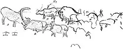 Plan of a portion of the left wall decoration in the Galerie des Fresques, showing reindeer and the procession of bison. After Breuil.