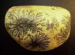 Dendritic psilomelane on a cobble