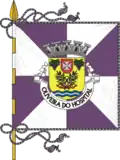 Flag of Oliveira do Hospital