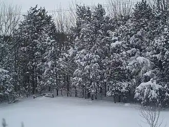 Perkiomenville in February 2010