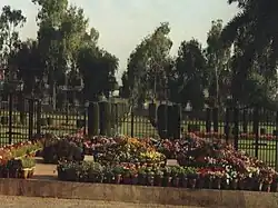 Quaid-e-Azam Medical College Landscaping