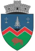 Coat of arms of Vama Buzăului