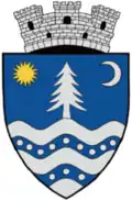 Coat of arms of Băile Tușnad