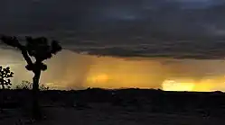 Side view of desert rain looking like strands of hair