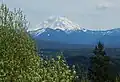 Mount Rainier seen from south side trail