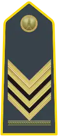 Chief Brigadier Adjutant (Sovrintendenti - Brigadiere capo aiutante) (Master Sergeant) same insignia as Chief Brigadier with star above chevron