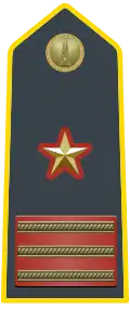 Sub-lieutenant (Ispettore - Luogotenente) (Chief Warrant Officer 5); commands Lieutenant Units (Stations).
