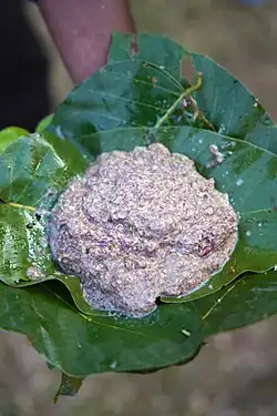 Hao Rit is a traditional condiment from Santal community