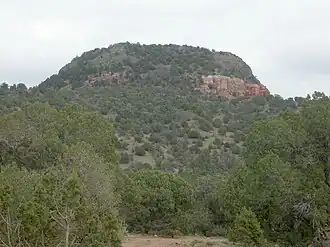 A large mound of rock and dirt with reddish and grayish soil and mostly covered with vegetation.