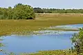 Refuge Lake, Attwater Prairie Chicken National Wildlife Refuge