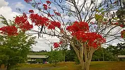 Refugio de Vida Silvestre del Embalse La Plata in Quebrada Cruz