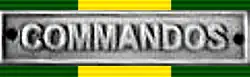 Commando Closure Commemoration Medal