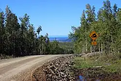 Tanana Road after opening in August 2016.